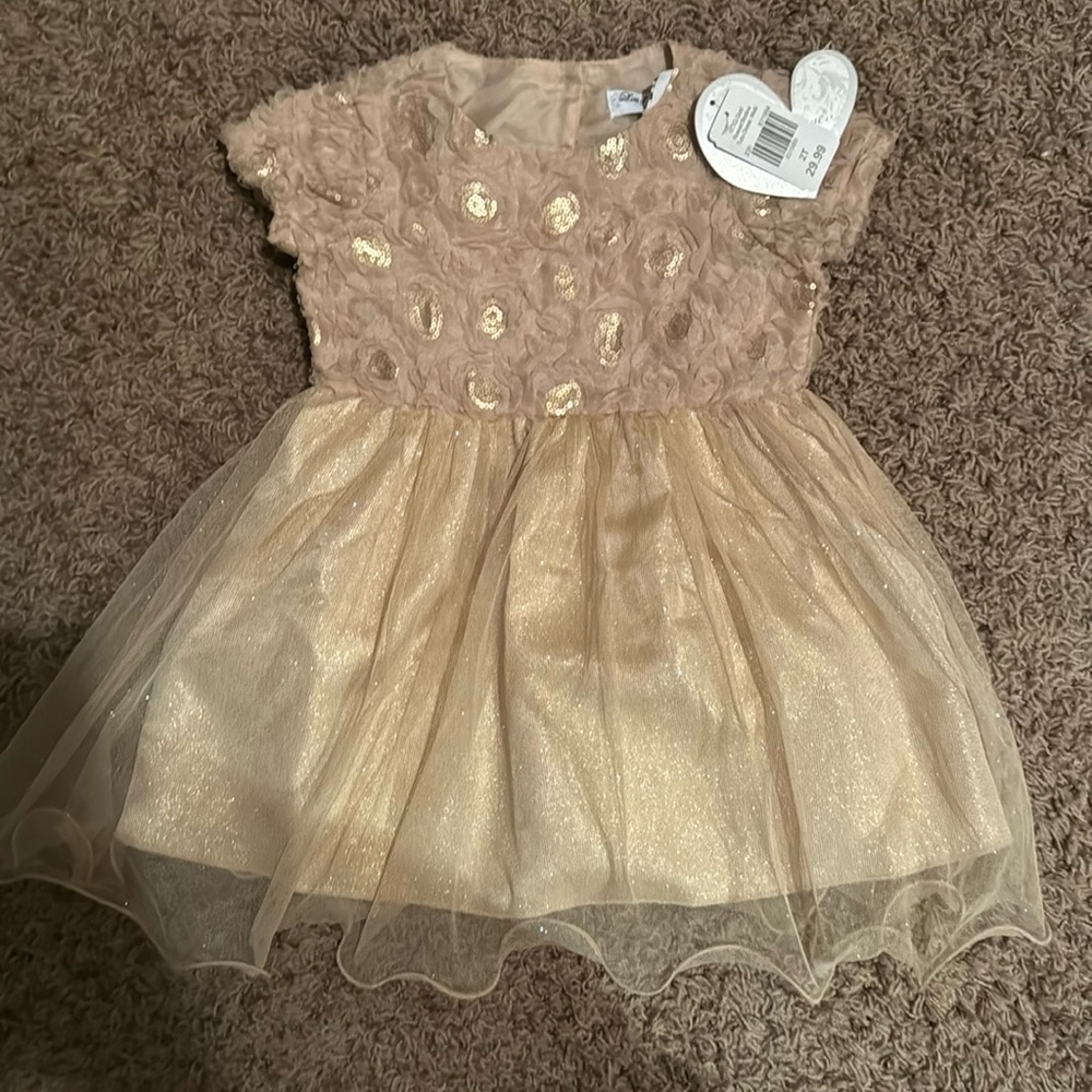 Formal dress, size 2T